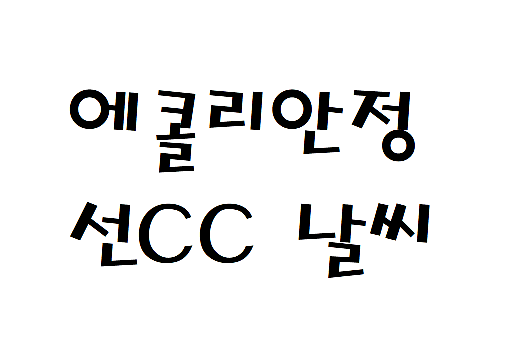 에콜리안정선CC 날씨 골프장 동네예보 알아보기